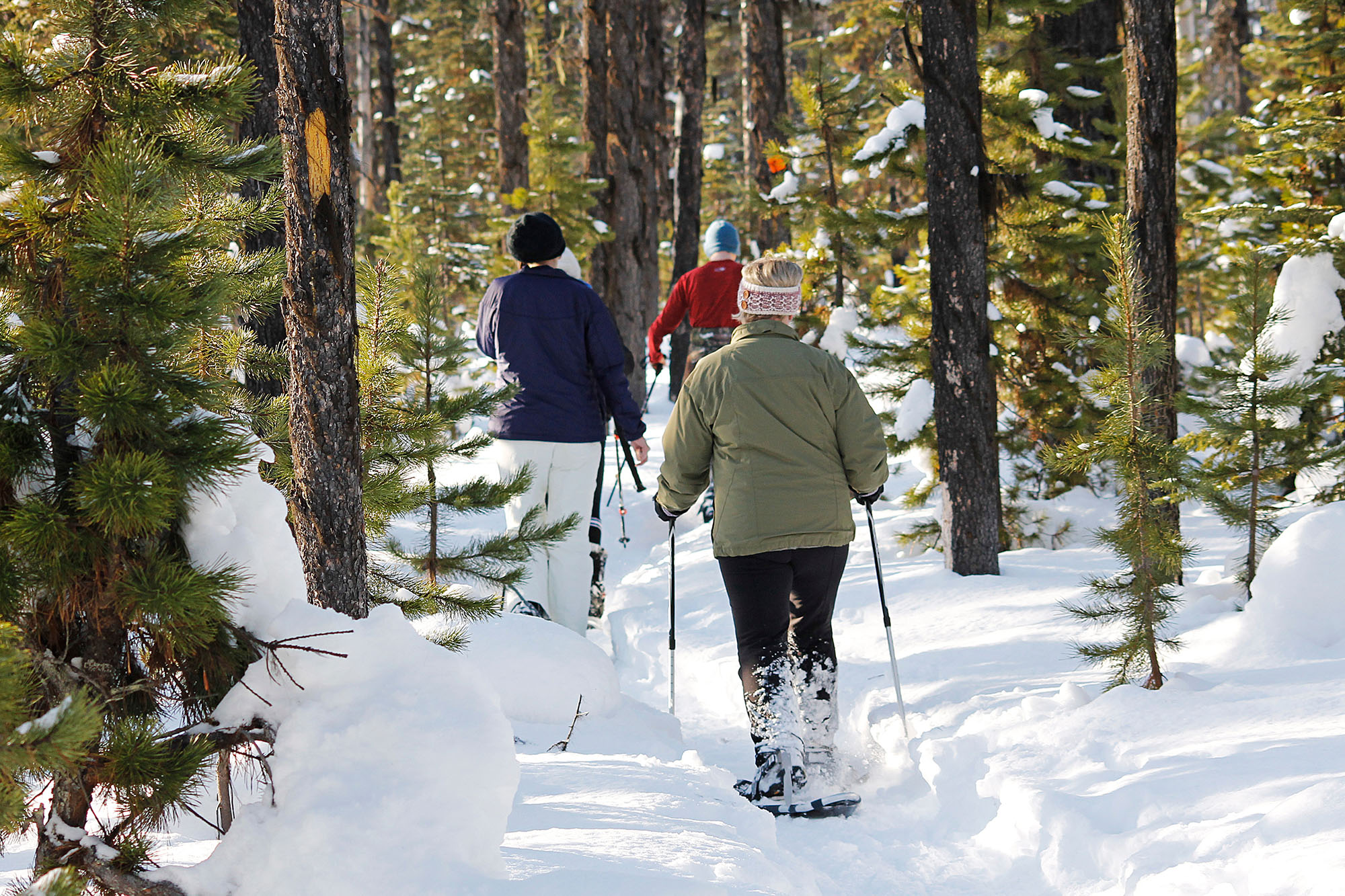People snowshoeing through the pines - Things To Do in the winter in Northern Michigan