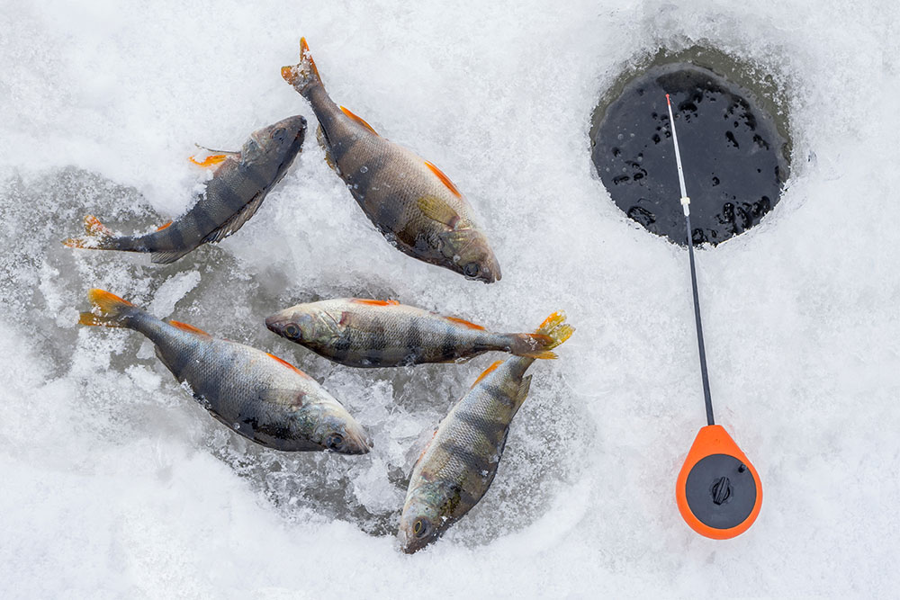 Ice Fishing